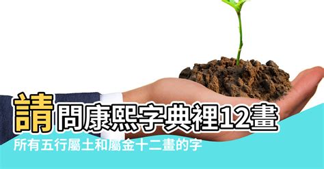 屬金名字|康熙字典五行屬金的字 共892個